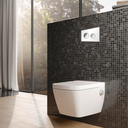 TECE LOOP TOILET FLUSH PLATE  FOR DUAL  FLUSH SYSTEM