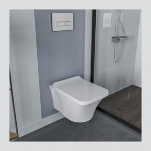 Sanitary / Toilet Set