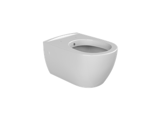 WALL HANG CITY RIMLESS