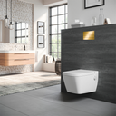 TECE SQUARE II METAL TOILET FLUSH PLATE FOR DUAL FLUSH SYSTEM