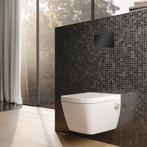 Sanitary / Toilet Flush Plate